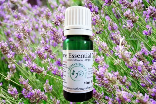Lavandin Pure Essential Oil 