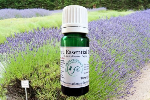 Lavender Grosso (English) Pure Essential Oil