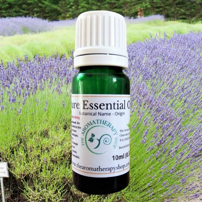 Lavender Grosso (English) Pure Essential Oil