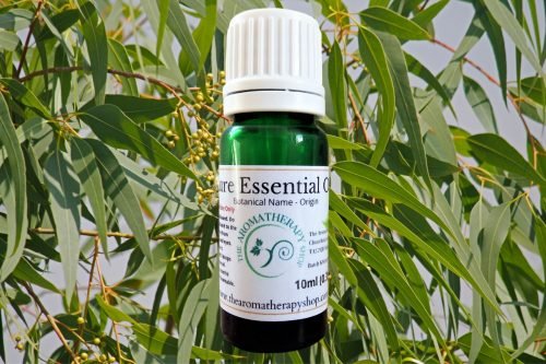 Lemon Eucalyptus Pure Essential Oil