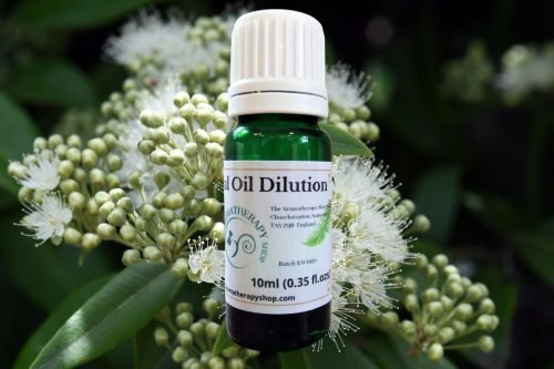 Lemon Myrtle Essential Oil Dilution