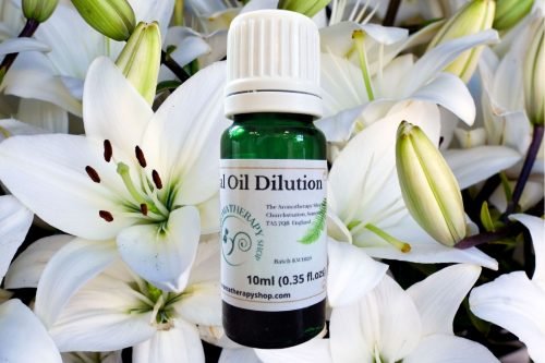 Lily Essential Oil Dilution
