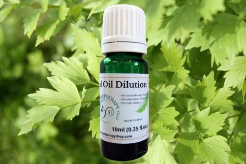 Lovage (French) Essential Oil Dilution