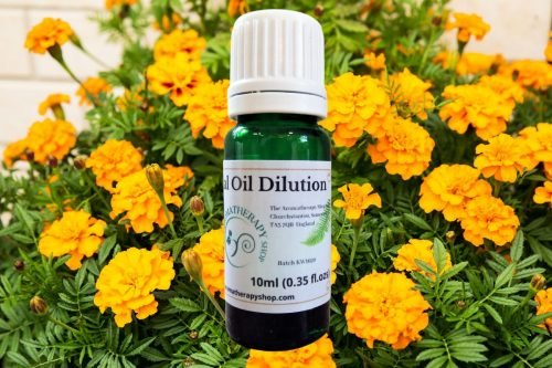 Marigold Essential Oil Dilution