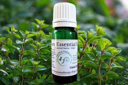 Marjoram Pure Essential Oil