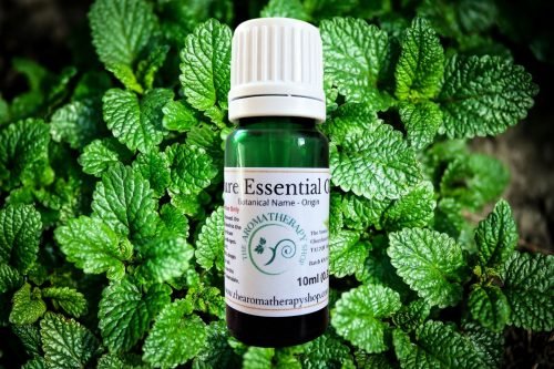 Melissa Pure Essential Oil / Organic