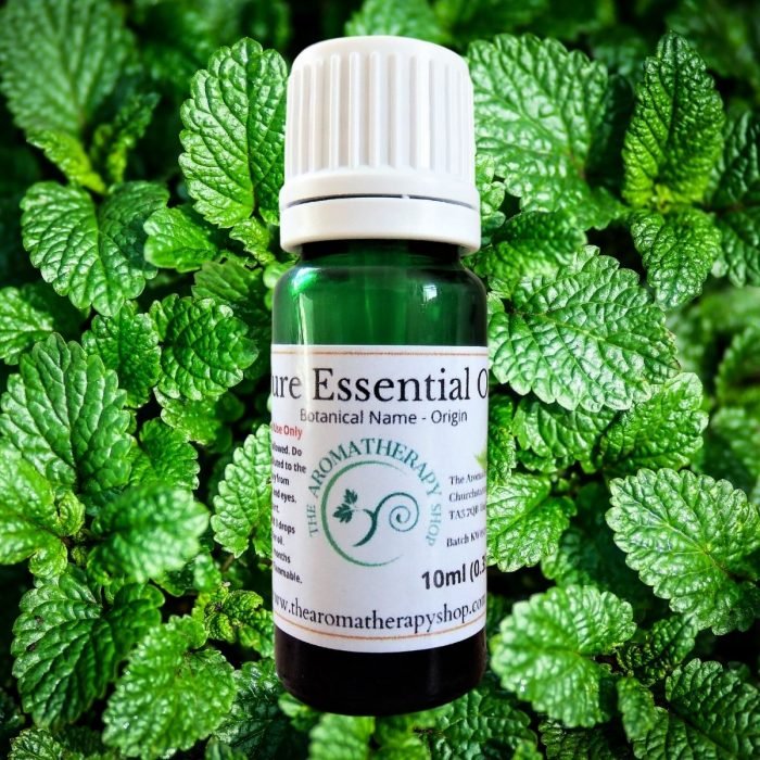 Melissa Pure Essential Oil / Organic