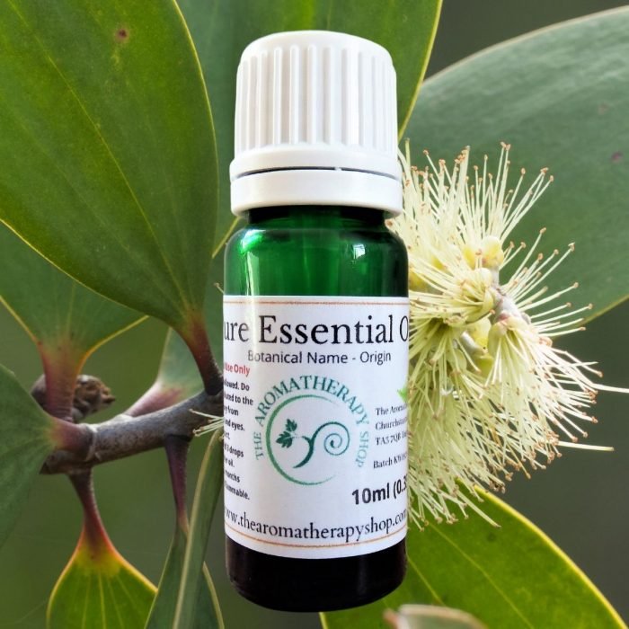 Niaouli Pure Essential Oil