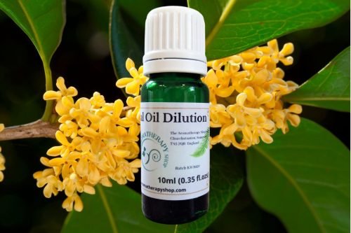Osmanthus Essential Oil Dilution