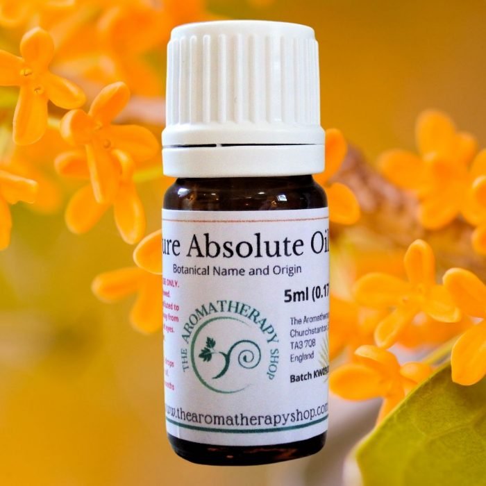 Osmanthus Pure Absolute Oil - Soft, Creamy Floral Green Notes