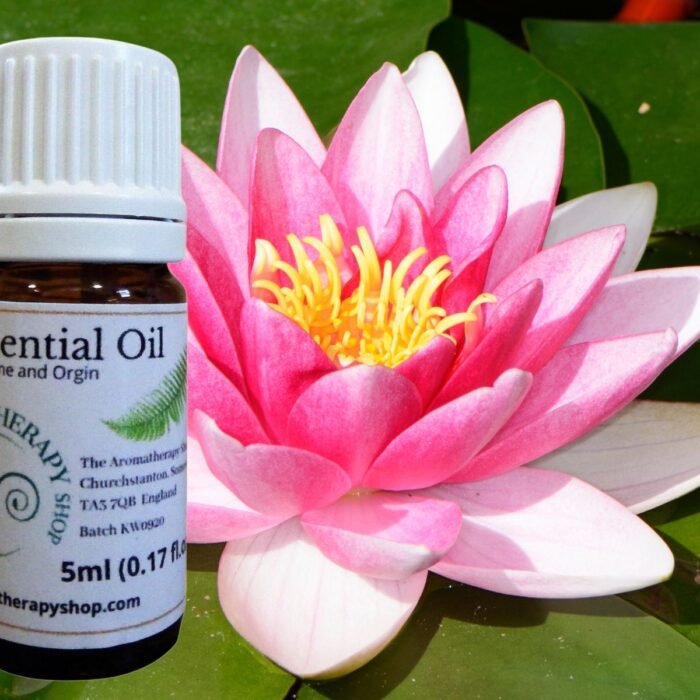 Pink Lotus Essential Oil (Origin: Northern India)