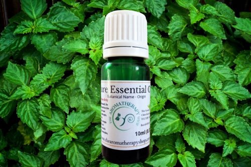 Patchouli Pure Essential Oil