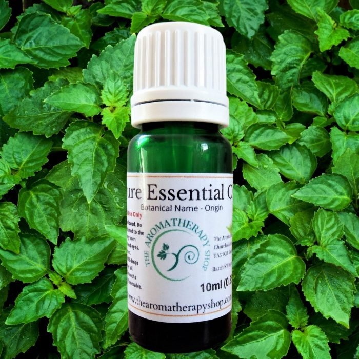 Patchouli Pure Essential Oil