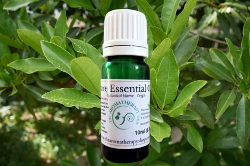 Pimento Leaf Pure Essential Oil