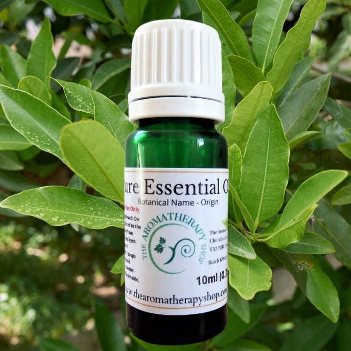 Pimento Leaf Pure Essential Oil