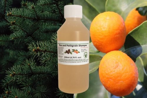 Pine and Petitgrain Organic Shampoo 250ml (8.79 fl.ozs)