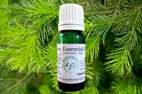 Pine Needle Pure Essential Oil