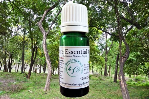 Sandalwood Amyris Pure Essential Oil