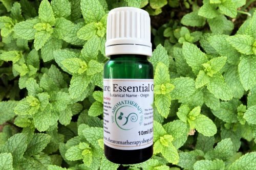 Spearmint Pure Essential Oil