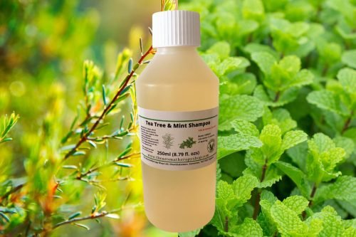 Tea Tree and Mint Organic Shampoo 250ml (8.79 fl.ozs)