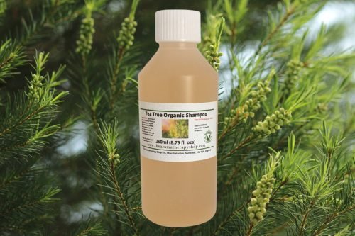 Tea Tree Organic Shampoo 250ml (8.79 fl.ozs)