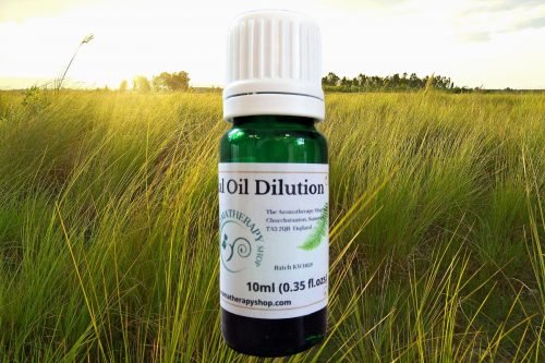 Vetiver (Indian) Essential Oil Dilution