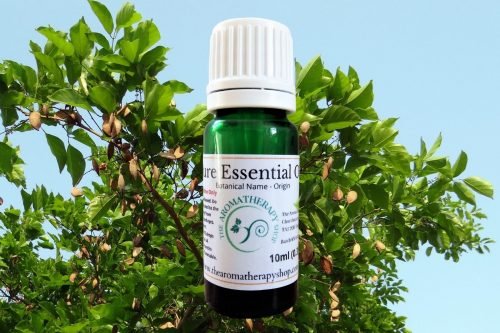 Karanj Seed Pure Essential Oil 
