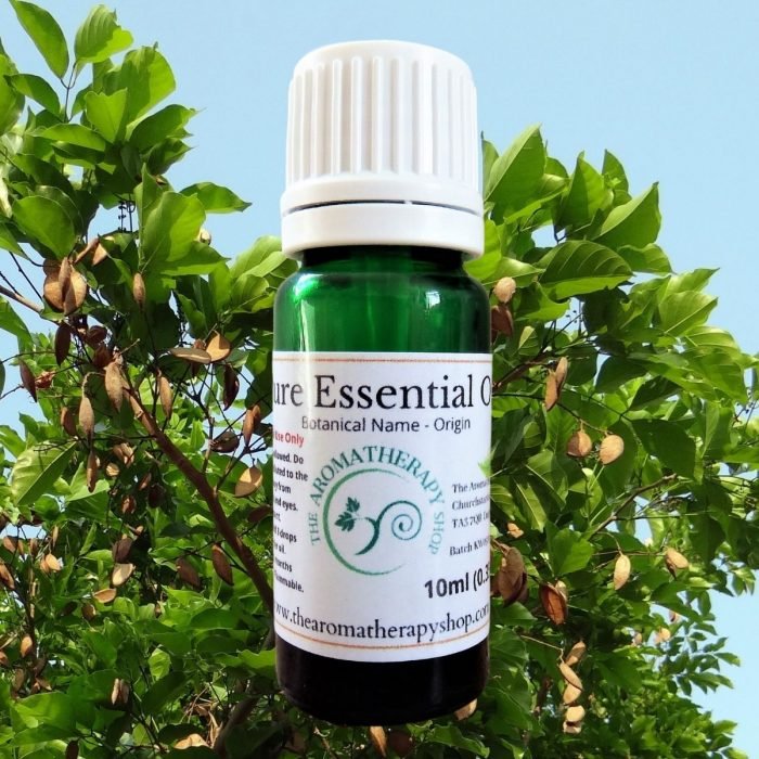 Karanj Seed Pure Essential Oil
