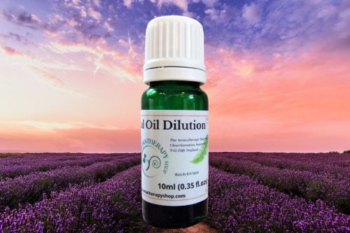 Lavender (Kashmir) Essential Oil Dilution