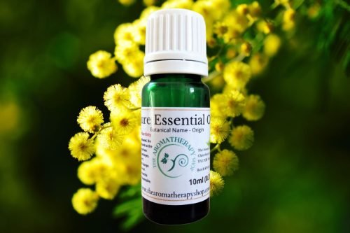 Egyptian Mimosa Essential Oil