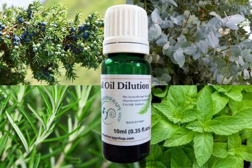 Mint, Rosemary, Juniperberry and Eucalyptus Oil Essential Oil Blend 10ml (0.35 fl.ozs)