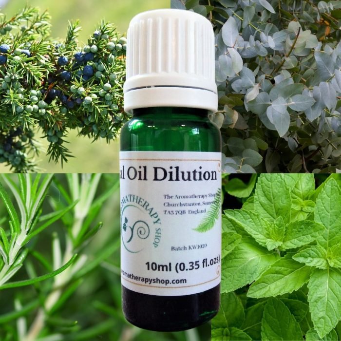 Mint, Rosemary, Juniperberry and Eucalyptus Oil Essential Oil Blend 10ml (0.35 fl.ozs)