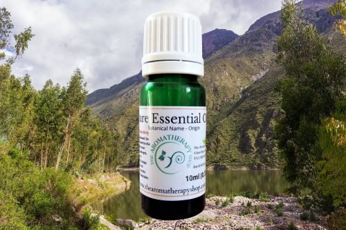 Peru Balsam Pure Essential Oil