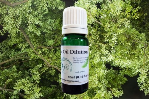 Ravintsara (Wild) Essential Oil Dilution