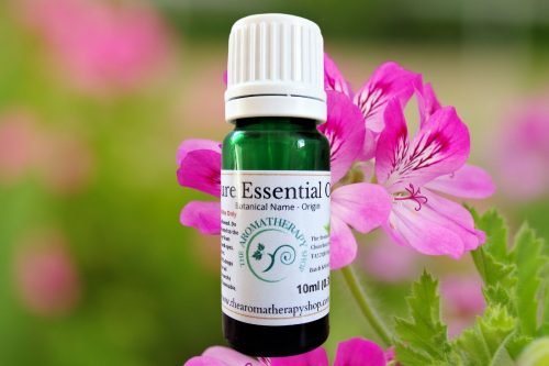 Rose Geranium Pure Essential Oil