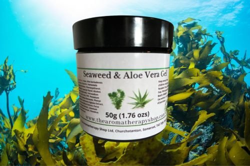 Seaweed and Aloe Vera Gel