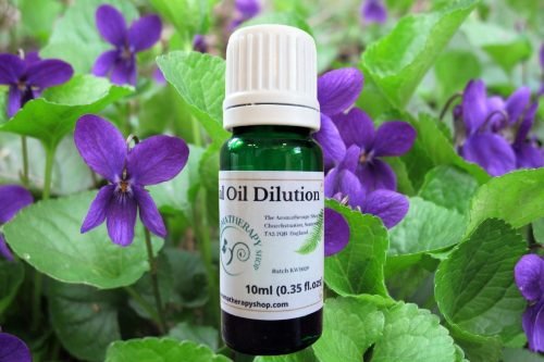 Violet Leaf Essential Oil Dilution