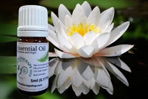 White Lotus Essential Oil  (Origin: Northern India)