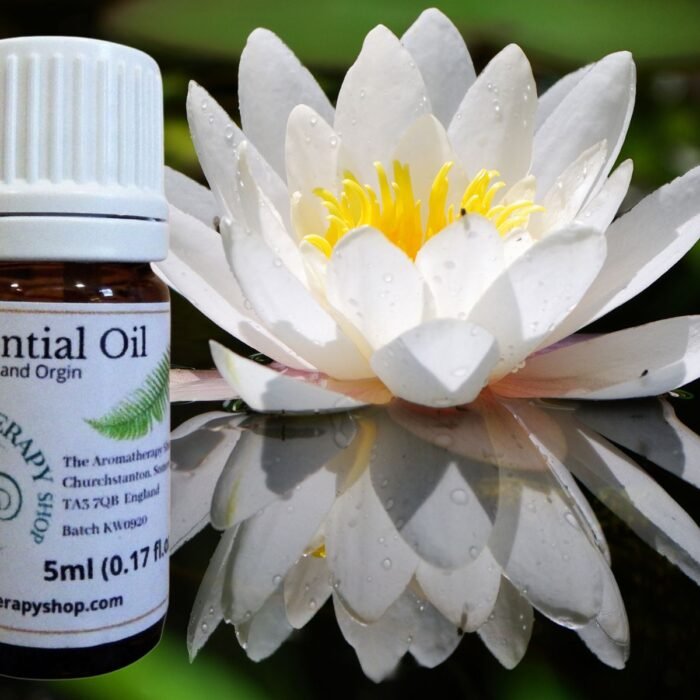 White Lotus Essential Oil (Origin: Northern India)