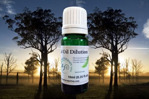 Eucalyptus (Wild) Essential Oil Dilution