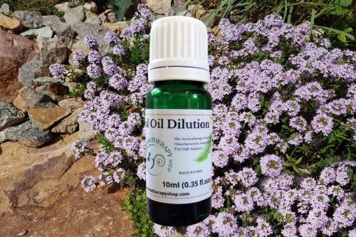 Red Thyme (Wild) Essential Oil Dilution