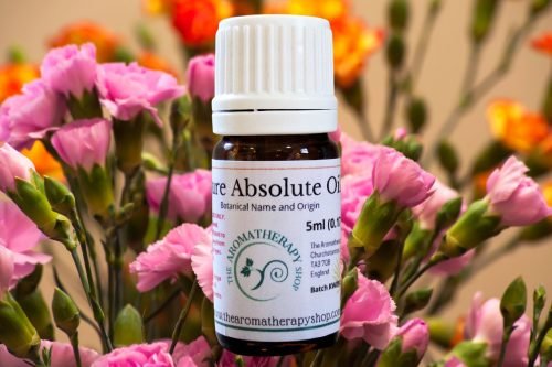 Carnation Absolute Oil (Origin: France)