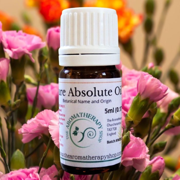 Carnation Absolute Oil (Origin: France)