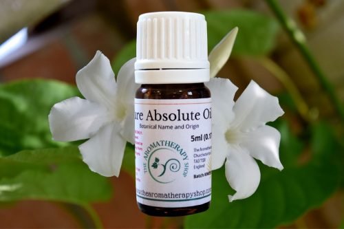 Jasmine Grandiflorum Pure Absolute Oil (Intensely sweet and floral)