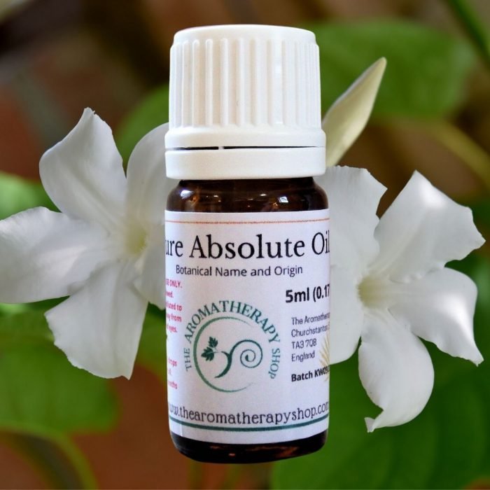 Jasmine Grandiflorum Pure Absolute Oil (Intensely sweet and floral)