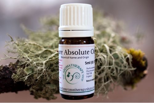 Oakmoss Absolute Oil (Origin: Southern Asia)
