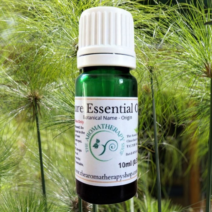 Papyrus Pure Essential Oil (Origin: India)