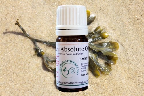 Seaweed Absolute Oil (Origin: France)