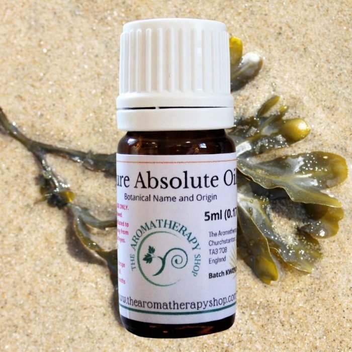 Seaweed Absolute Oil (Origin: France)