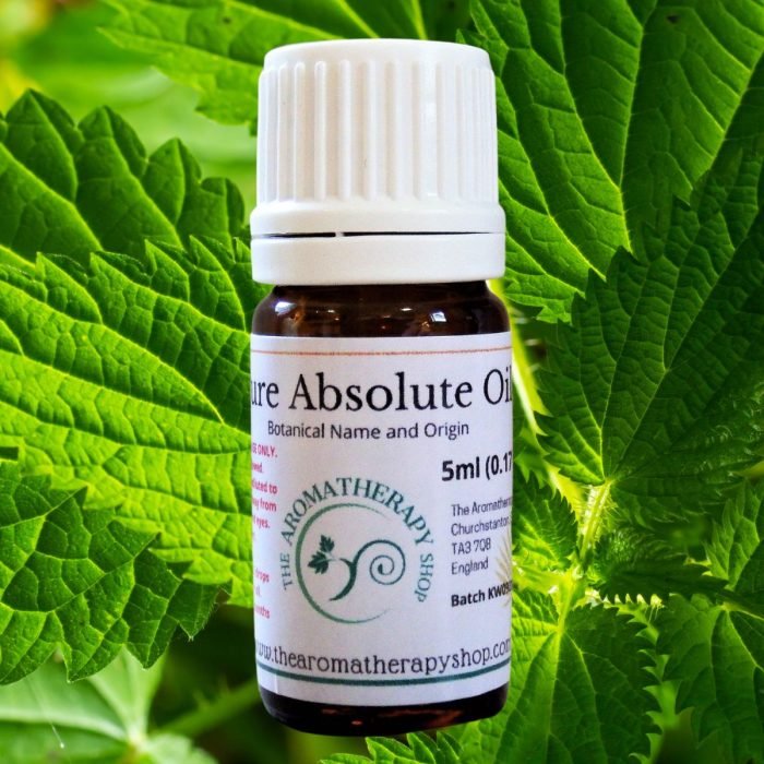 Stinging Nettle Leaf Absolute Oil - Herbaceous Green Notes (Origin: France)